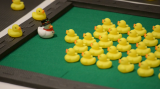Duckiebots on table in front of king Duck