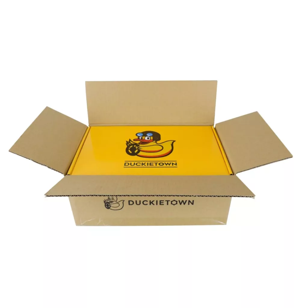Duckietown Duckiedrone model DD21 - happy yellow box